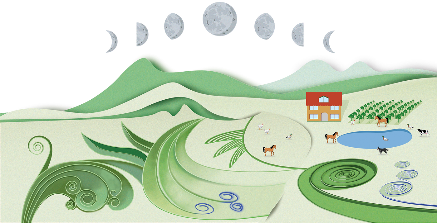 Simple Wine BIO - Biodynamic wines