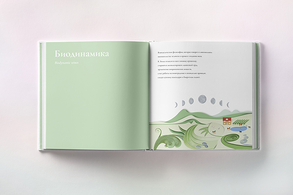 Simple Wine BIO - Bio wines