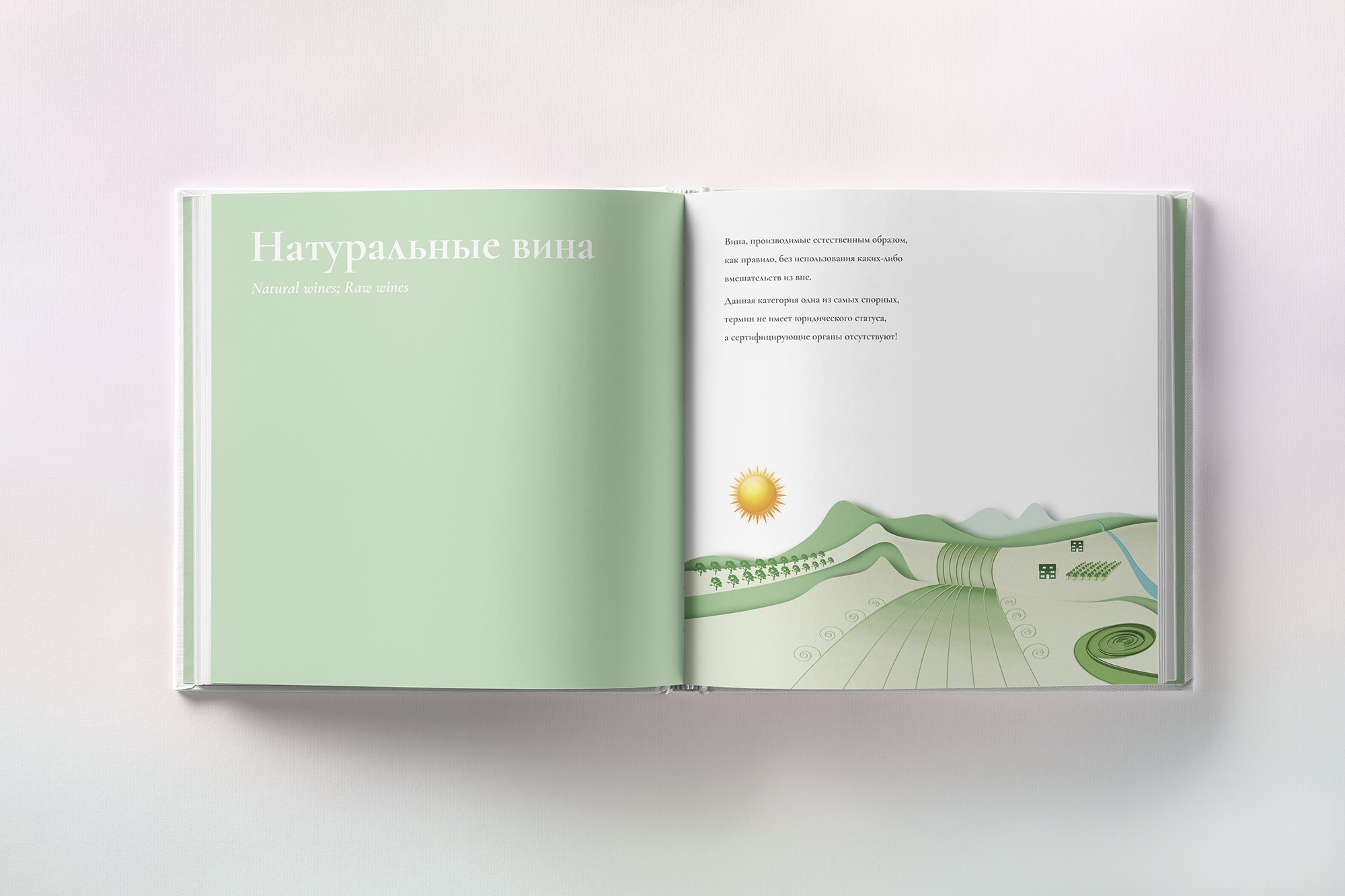 Simple Wine BIO - Natural wines