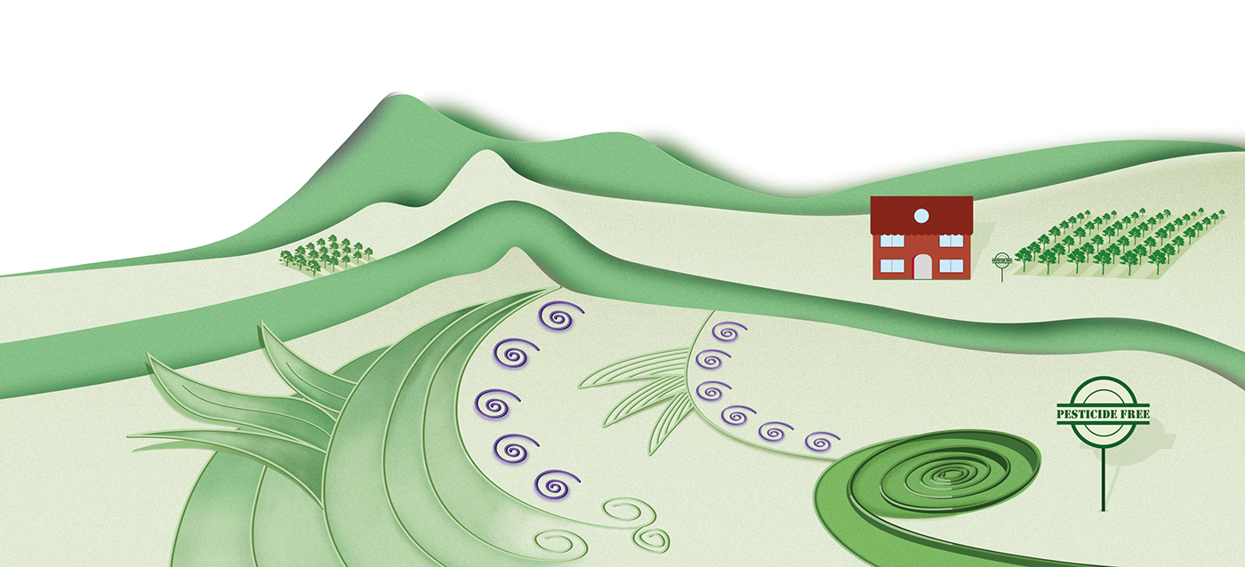 Simple Wine BIO - Organic wines