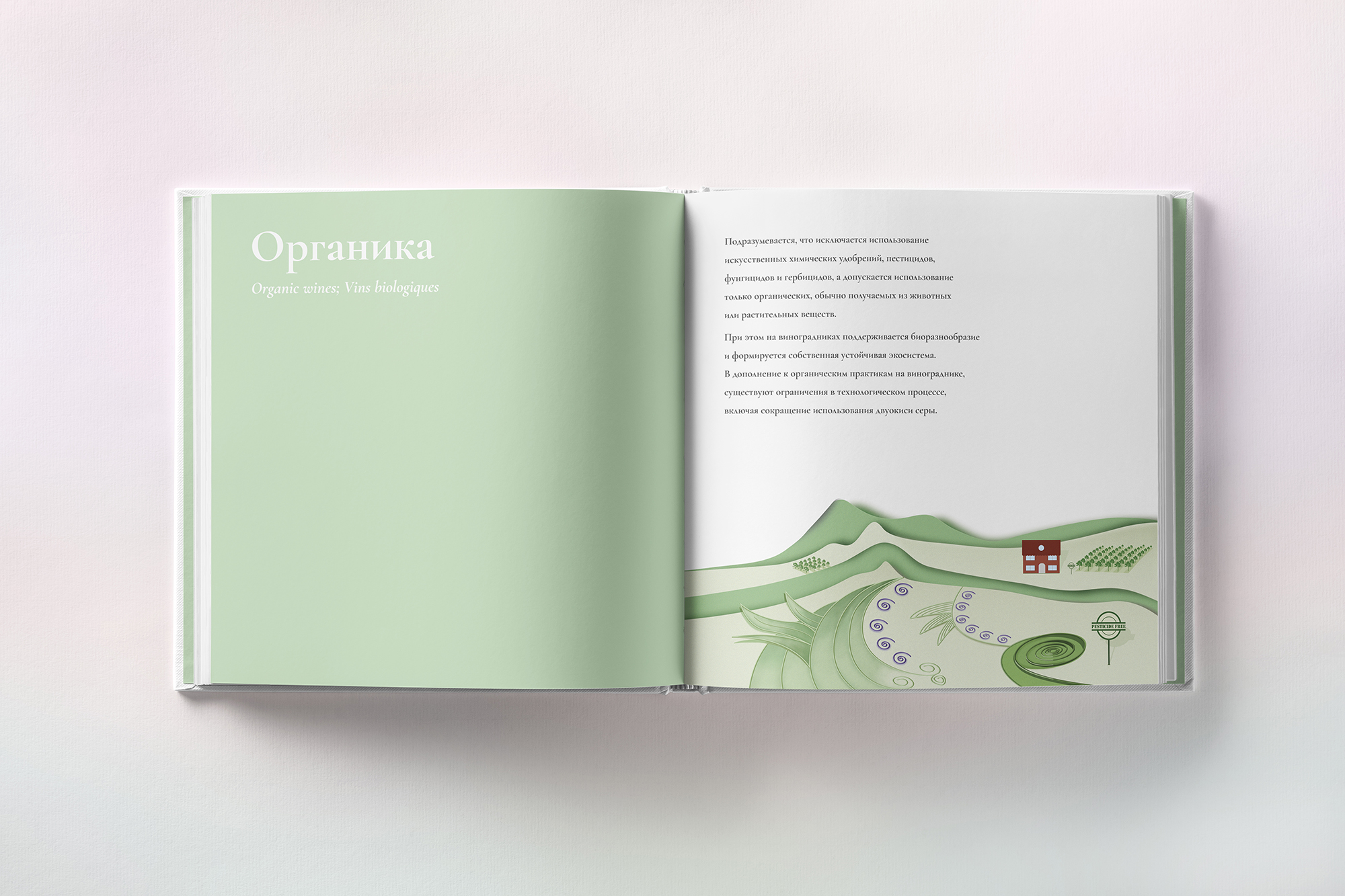 organic-wines-page-2000