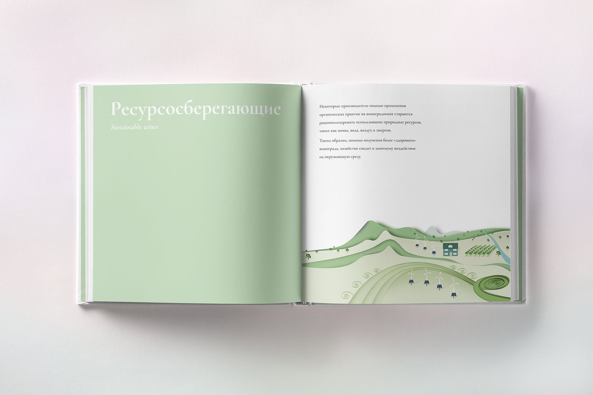 Simple Wine BIO - Sustainable wines